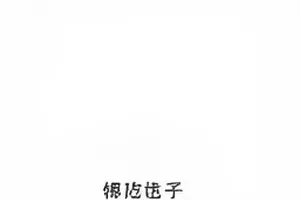 五月十二日官方回应全文版面